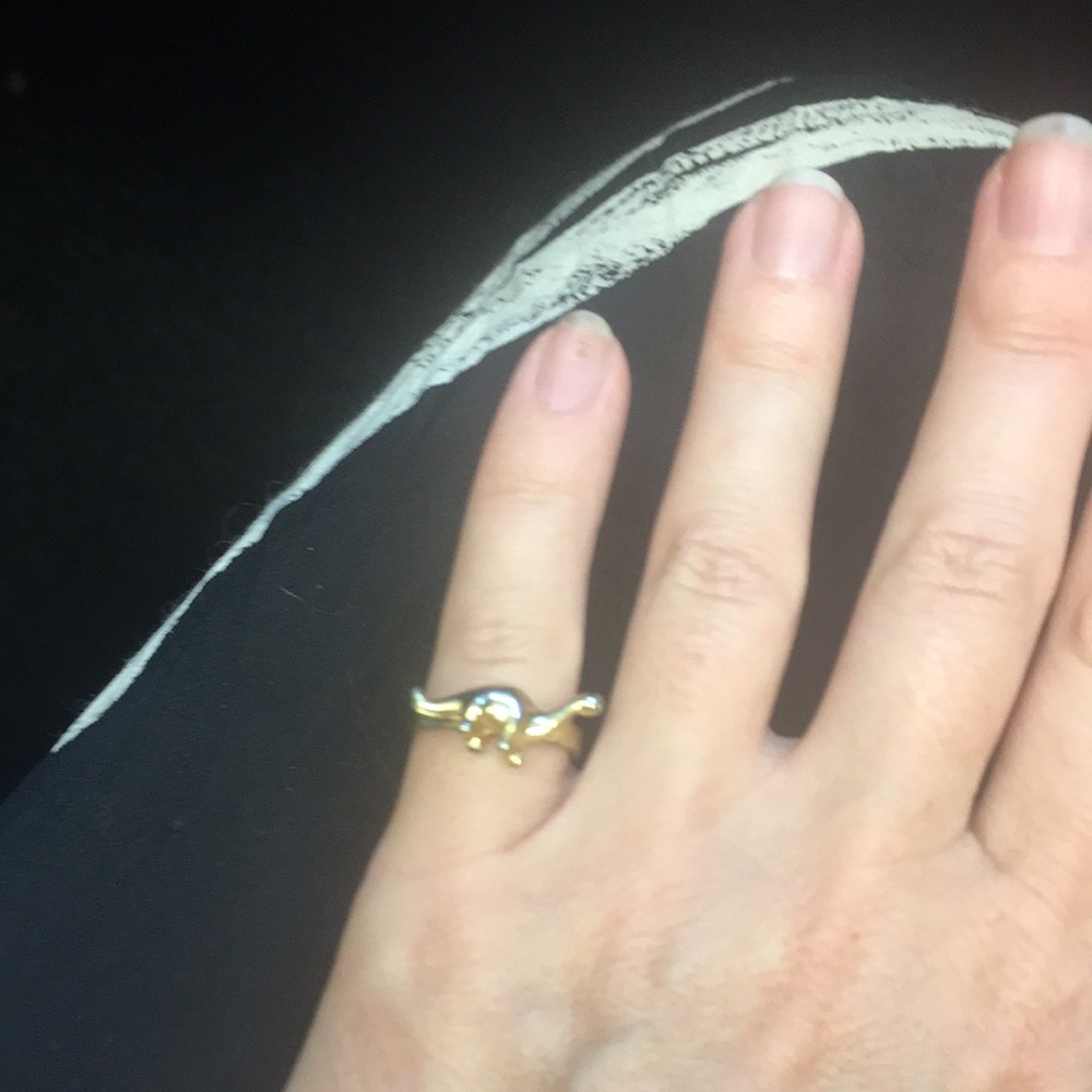 Dinosaur ring